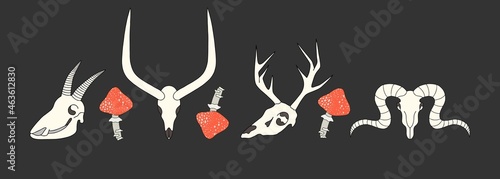 Various skulls of different animals, fly agaric. Black background. Vector illustration, Halloween.