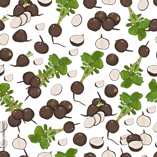Seamless background of black radishes. Whole, half, and sliced black radish. Black radish with tops. Organic vegetables. Cartoon style. Pattern. Vector illustration isolated on white background