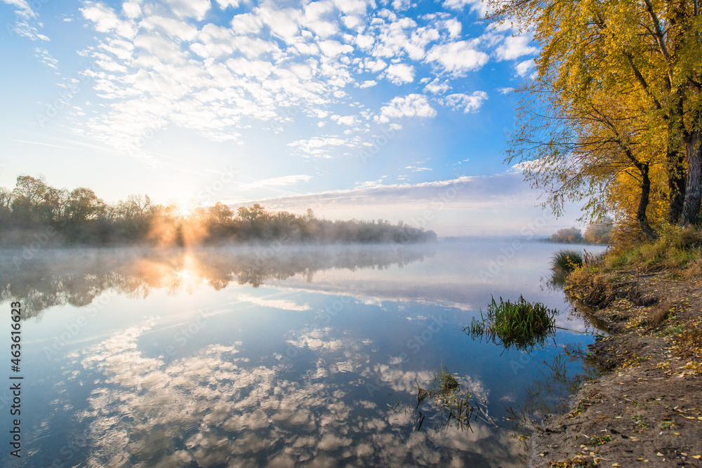 Fototapeta premium autumn landscape river in the morning fog over the water. panorama of the river in autumn. the yellow trees are reflected in the water