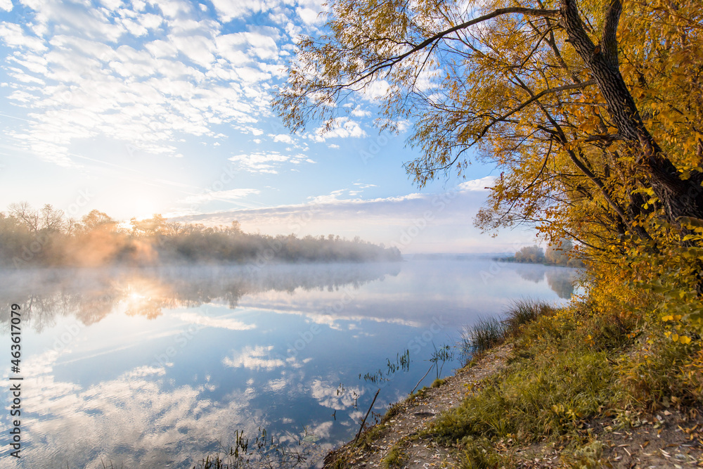 autumn landscape river in the morning fog over the water. panorama of the river in autumn. the yellow trees are reflected in the water