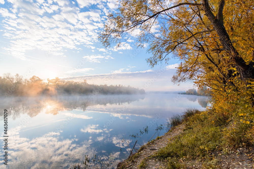 autumn landscape river in the morning fog over the water. panorama of the river in autumn. the yellow trees are reflected in the water autumn landscape river in the morning fog over the water. panorama of the river in autumn. the yellow trees are reflected in the water