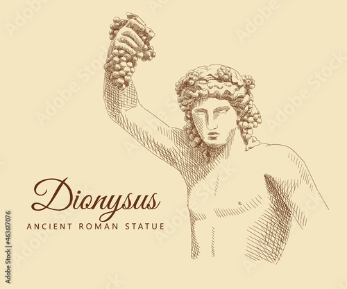 Sketch of the ancient roman statue 'Dionysus'. Bacchus, god of wine and winemaking. Man portrait with a grapes. Vintage brown and beige card, hand-drawn, vector. Old design. Line graphics. photo