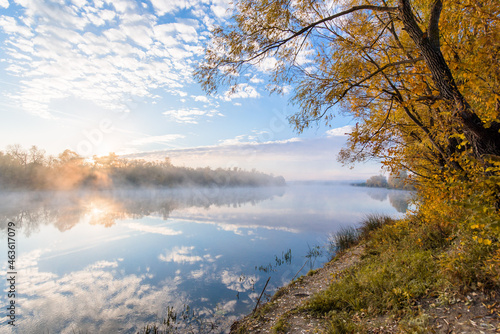 autumn landscape river in the morning fog over the water. panorama of the river in autumn. the yellow trees are reflected in the water