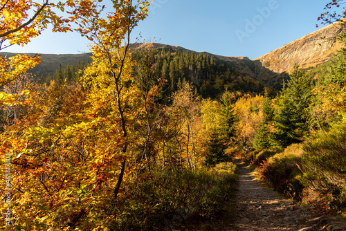 Fototapeta Naklejka Na Ścianę i Meble -  autumn in the mountains