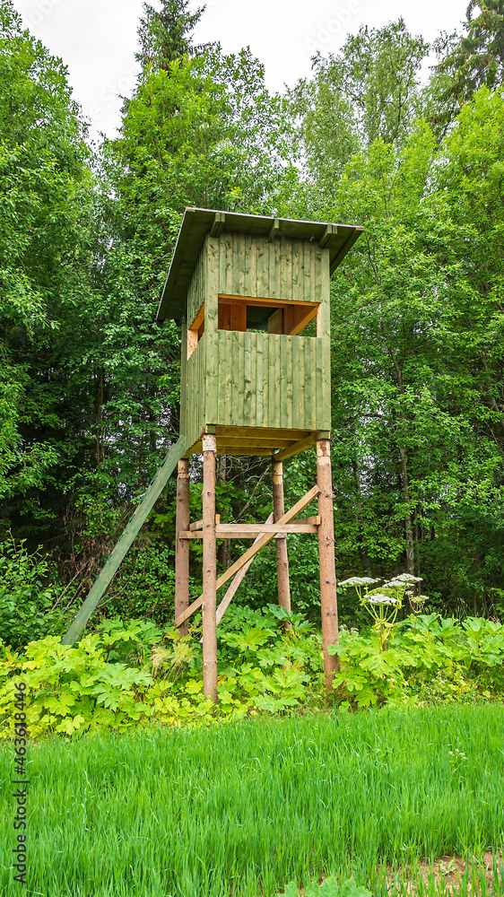 a tower for hunting in the forest a tower for hunting in the forest