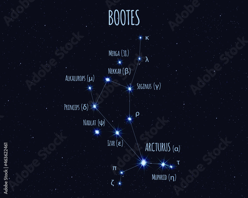 Bootes (The Herdsman) constellation, vector illustration with the names of basic stars against the starry sky photo