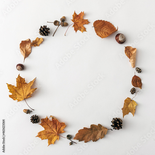 Round frame for text message from autumn leaves on white background, autumnal minimal concept