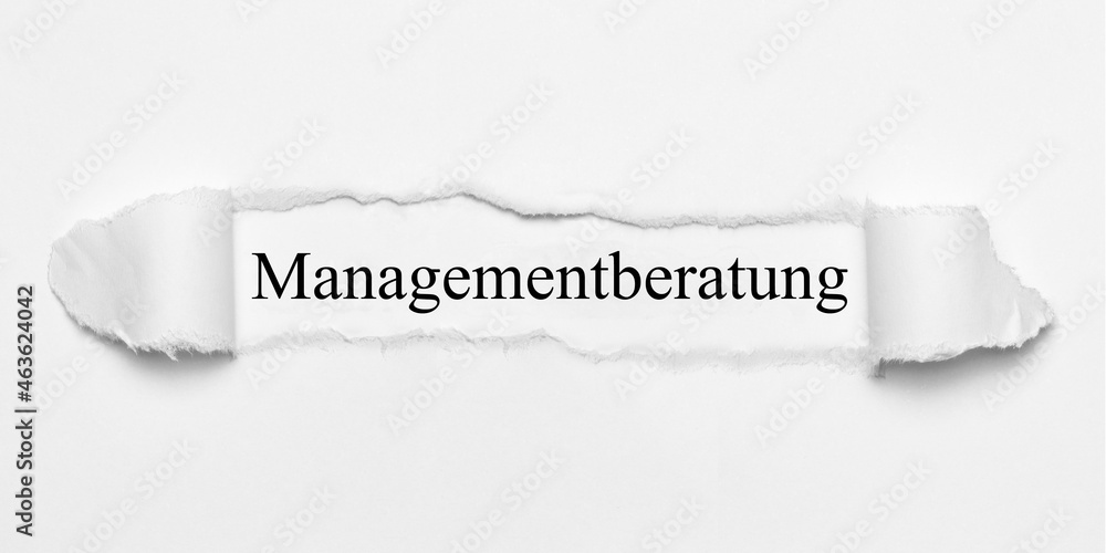 Obraz premium Managementberatung