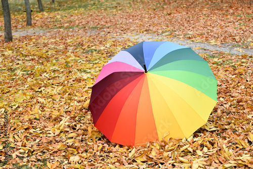 palette of bright warm colors on golden leaves carpet , multy-colored umbrella for autumn rainy weather. Bright autumn © Vita