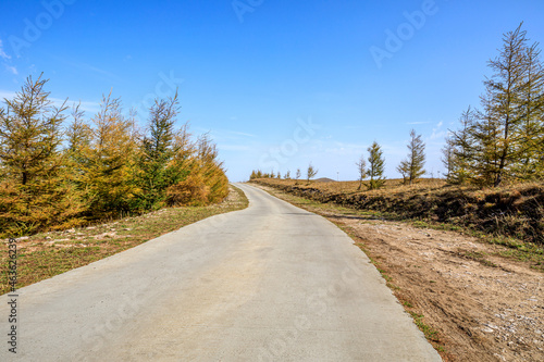 Empty road and yellow forest natural landscape in autumn.Road and trees background.