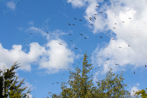 Point Pelee National Park