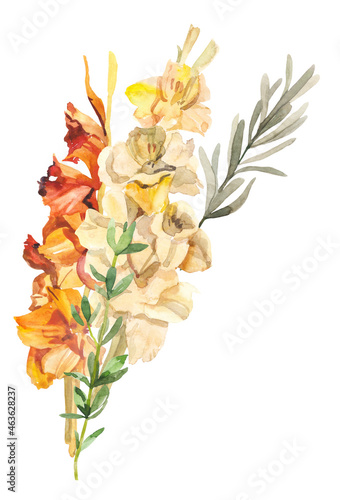 Watercolor hand painted botanical autumn gladiolus flowers and branches illustration isolated on white background