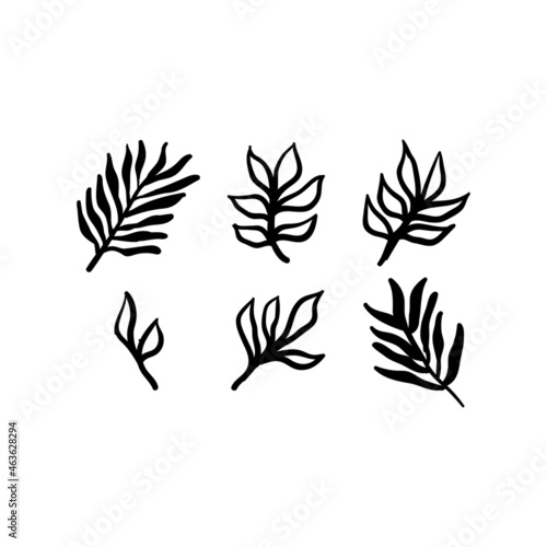 Little branches and floral doodles  hand drawn sketch drawings of plants  branches and leaves. Vector illustration.
