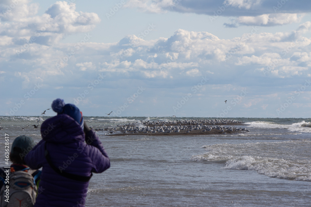 Point Pelee National Park Point Pelee National Park