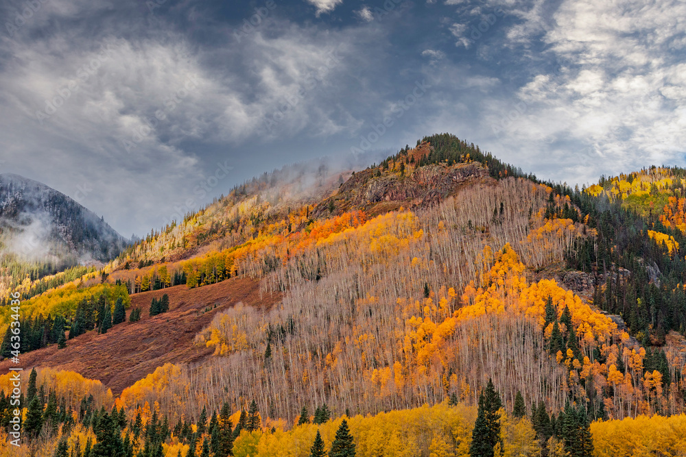 Vibrant Fall Colors In The Colorado Rocky Mountains In Colorado