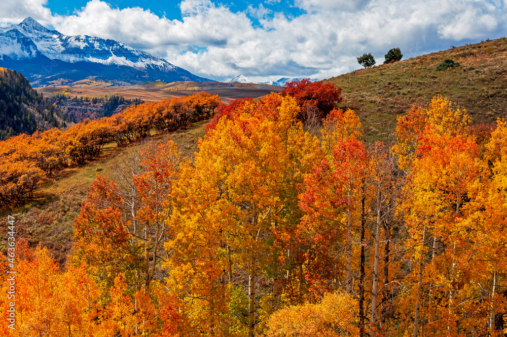 Late Fall Colors In Telluride Colorado With Mountains Backdrop