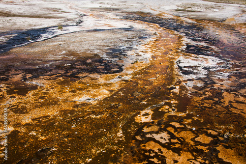 Bacterial mats  Upper Geyser Basin  Yellowstone National Park  Wyoming  USA 