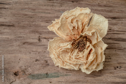 dried rose flower on the wooden table with copy space photo