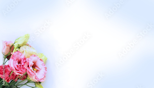 A festive bouquet with pink eustoms. A bright floral arrangement. Background for a greeting card. © Olirina