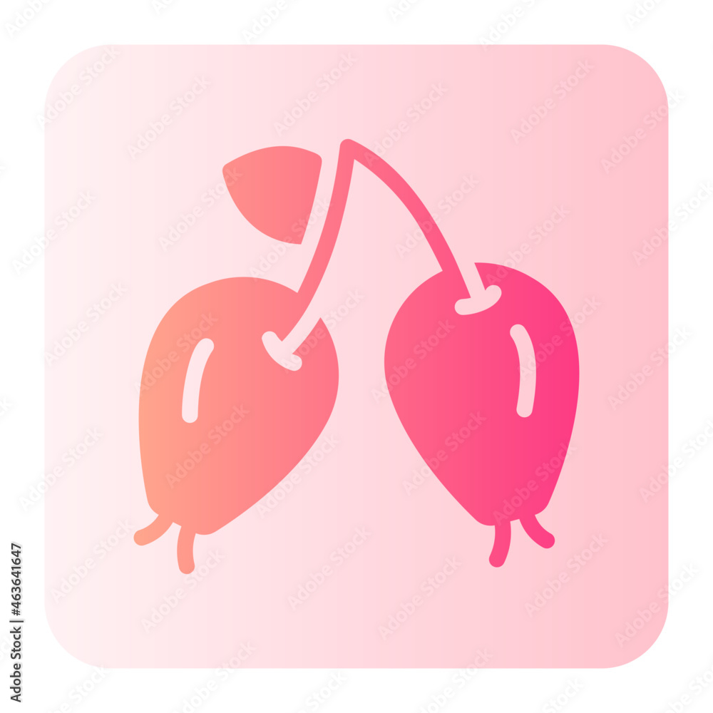 rosehip gradient icon rosehip gradient icon