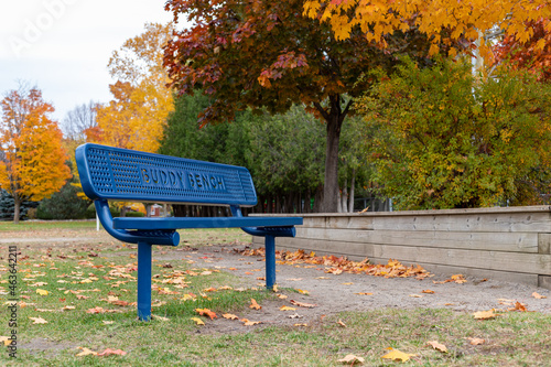 Blue buddy bench in local public park near school in fall. Autumn trees with colorful leaves photo