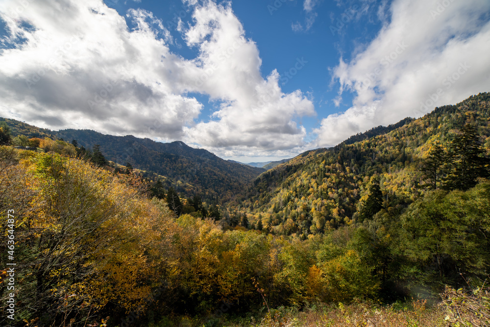 Smoky Mountains National Park Overlook Smoky Mountains National Park Overlook
