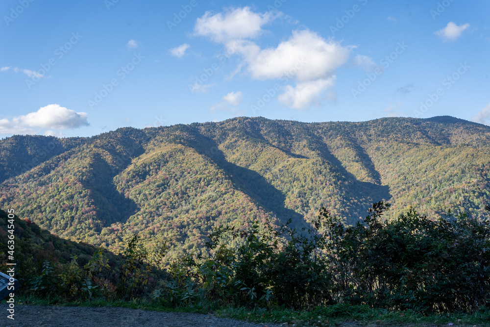 Smoky Mountains National Park Overlook