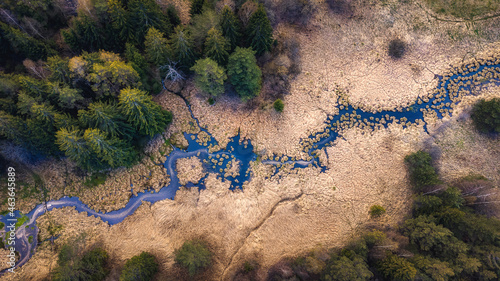 River and forest