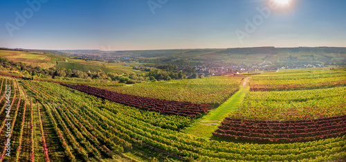 Luftbild mit Drohne von herbstlichen Weinbergen der Winzer Rheinhessens bei Großwinternheim in der Nähe von Ingelheim und Bingen während des Sonnenuntergangs im Herbst, Kaiserpfalz, Rheinland Pfalz photo