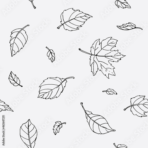 black and white outline maple leaves. Seamless vector pattern