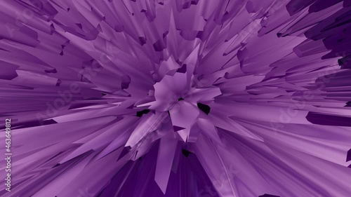 Tassy purple fantastic flower similar to chrysanthemum, petals move, live flower. Abstract fantastic motion graphic, 3d illusion, photo