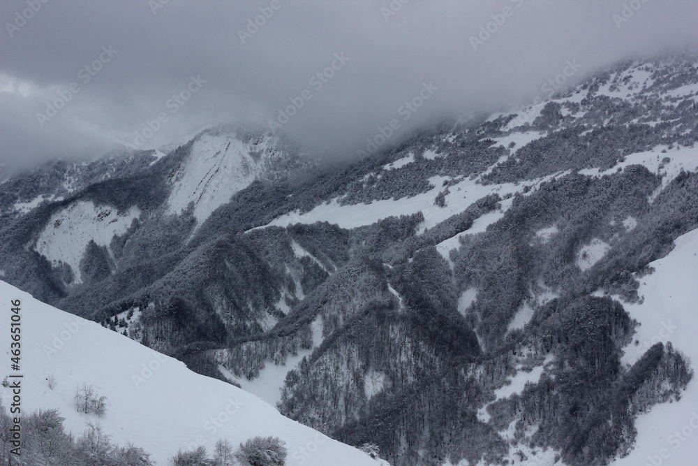 snow covered mountains