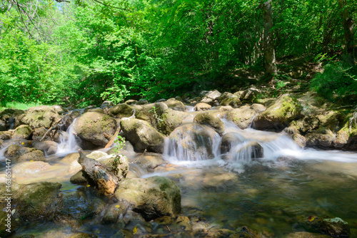 Forest stream with rifts and rocks on a sunny summer day