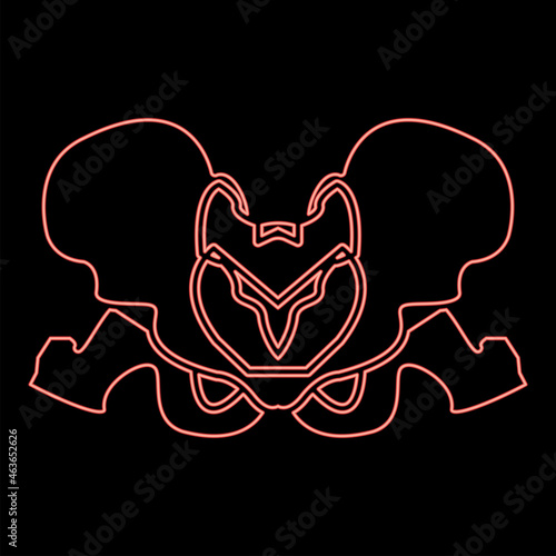 Neon pelvis skeleton red color vector illustration flat style image