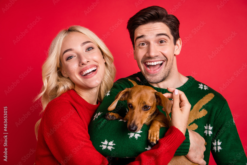 Photo portrait laughing couple wearing sweaters embracing keeping little friend puppy isolated vivid red color background