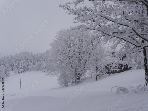 śnieżna, piękna, biała zima krajobraz w Beskidach