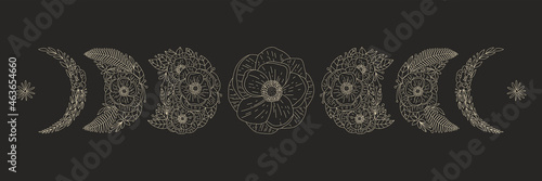 Abstract image of the phase of the moon in a floral style. ideal for printing on fabric or clothing. Contemporary art