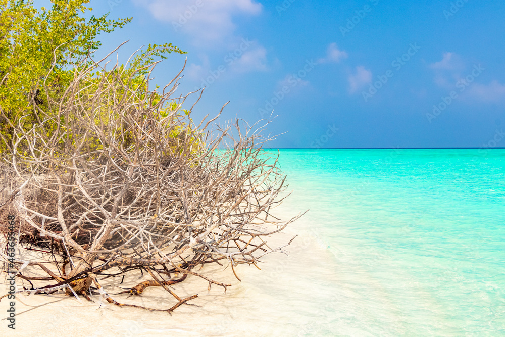 Natural tropical turquoise sandbank islands Madivaru Finolhu Rasdhoo Atoll Maldives. Natural tropical turquoise sandbank islands Madivaru Finolhu Rasdhoo Atoll Maldives.