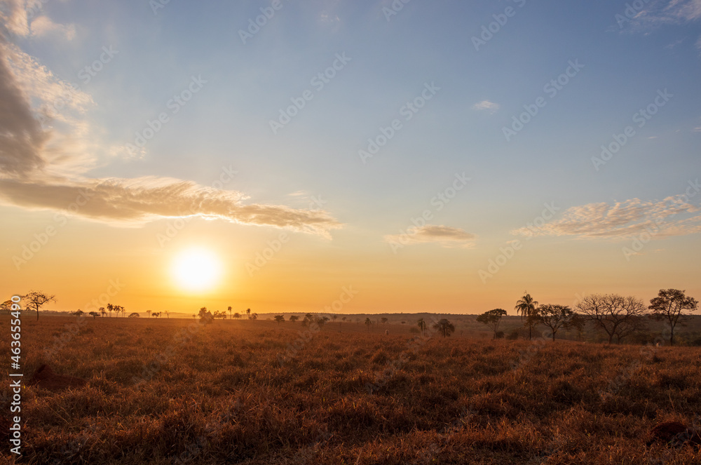 Nascer do sol no cerrado em Minas Gerais, Brasil.