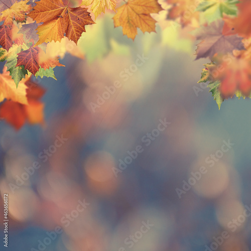 Early Autumn in the city park