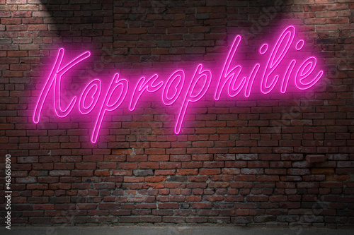 Neon medical coprophilia (in german Koprophilie) lettering on Brick Wall at night
