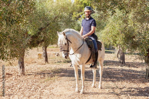 A rider on horseback among olive trees