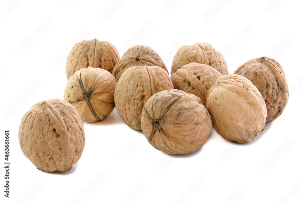 Walnuts isolated on white background. Whole nuts. Walnuts isolated on white background. Whole nuts.