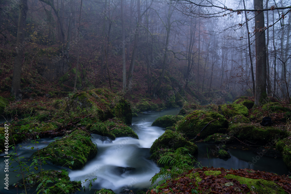 Obraz premium smooth motion of wild water in a river in summer with rocks and stones in the beautiful nature of a forest