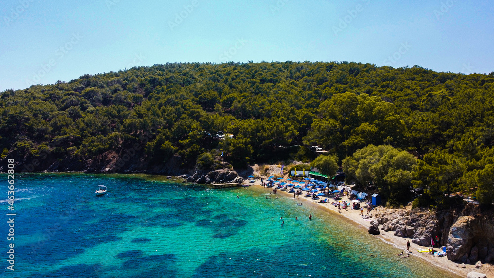 Local Beach Local Beach