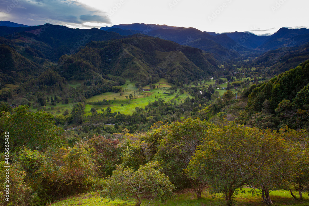 Naklejka premium Beautiful view over the Cocora Valley in Salento, from El Mirador, located on the region of Quindio in Colombia