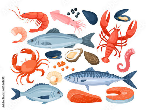 Seafood. Vector icons set of sea fishes with shrimp, salmon, sea bass, dorado, lobster, crab, mussel, squid, octopus, oyster, shells on a white background. Seafood for menu, web design. Fresh fish