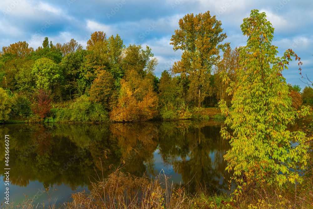 Fototapeta premium River Labe near central Bohemian town Kolin in autumn color morning