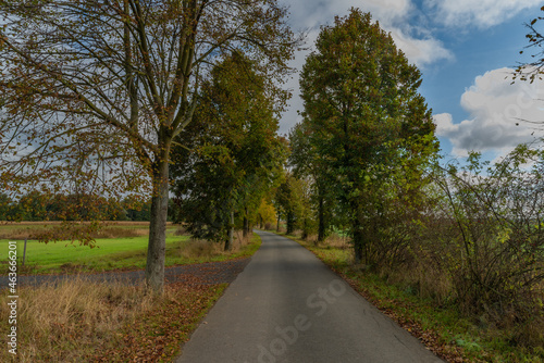 Rural path with trees and blue sky with white clouds in autumn day © luzkovyvagon.cz