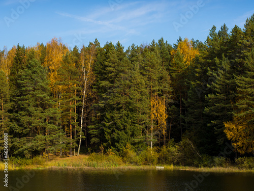 autumn landscape, beautiful autumn lakeside on a sunny day